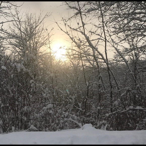 Meet your Posher, Cristina - Picture 1 of 1